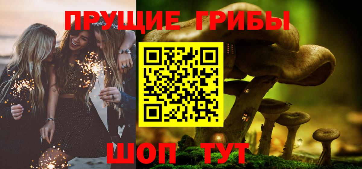 Псилоцибиновые грибы Psilocybine cubensis  Галлюциногенные грибы GOLDEN TEACHER  Ачхой-Мартан  Вход с VPN 